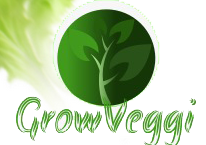 https://www.bigindia.com/storage//uploads/products/1624820399.PNG