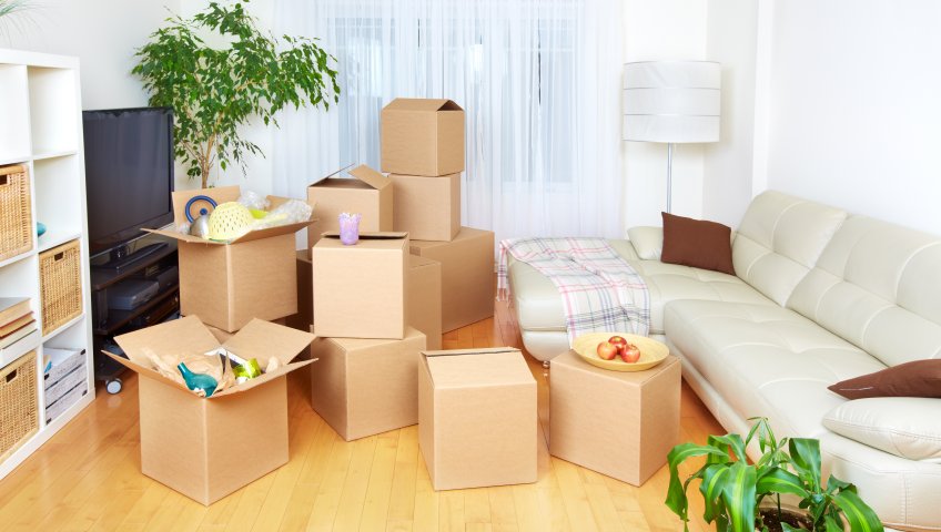 https://www.bigindia.com/storage//uploads/products/1626328000.jpg