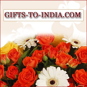 https://www.bigindia.com/storage//uploads/products/1695023551.jpg