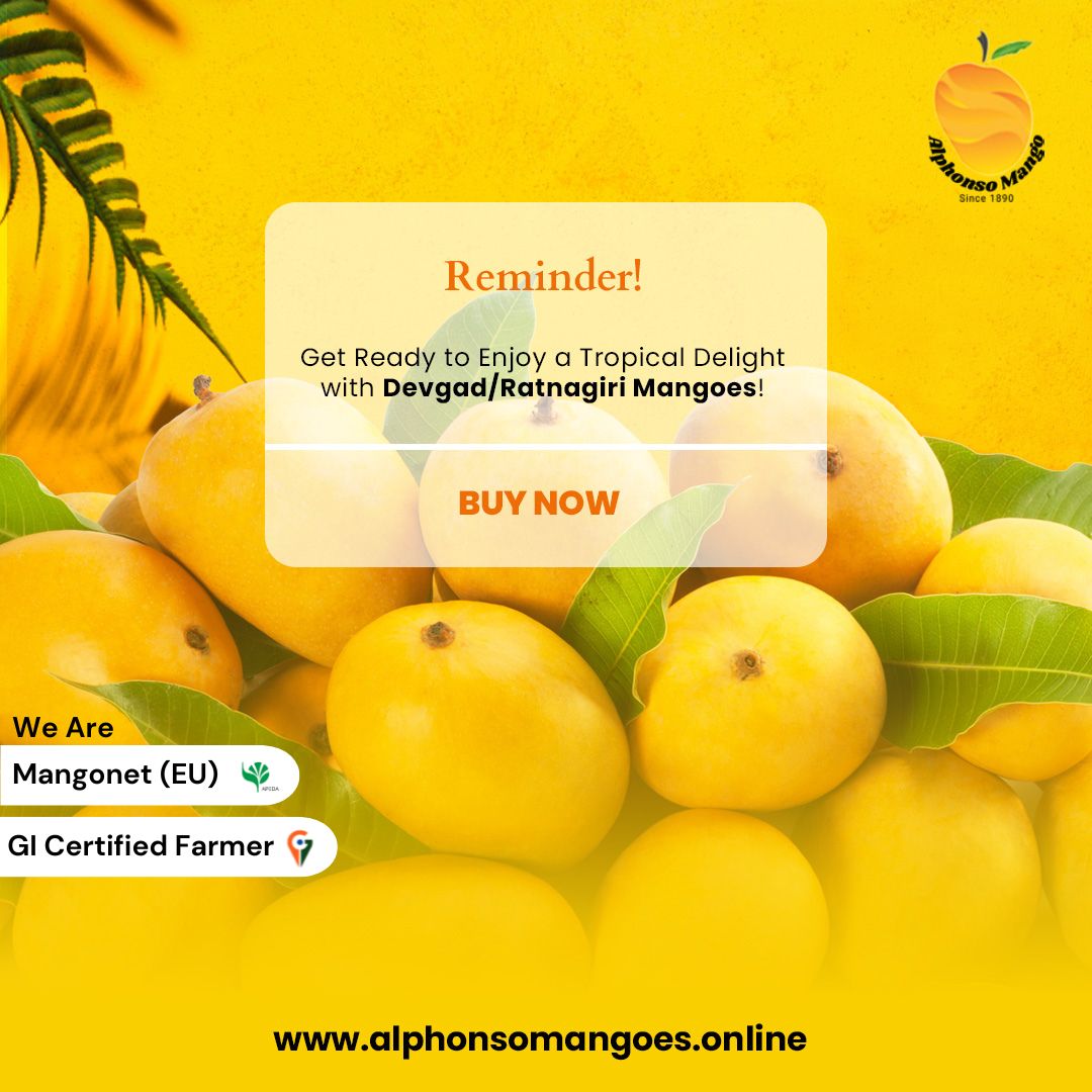 https://www.bigindia.com/storage//uploads/products/1697018684.jpg