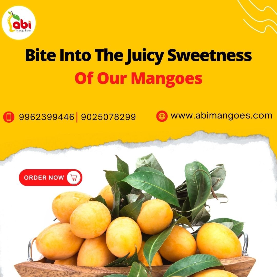 https://www.bigindia.com/storage//uploads/products/1701063485.jpeg