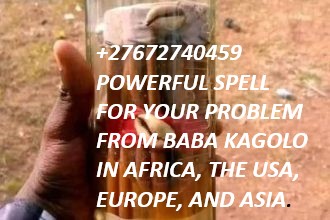 https://www.bigindia.com/storage//uploads/products/1710411235.jpg