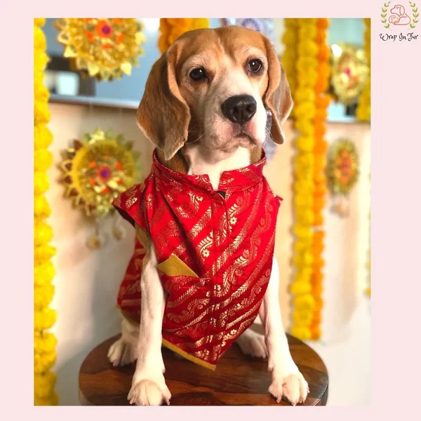 https://www.bigindia.com/storage//uploads/products/1717737831.jpg