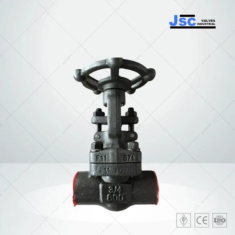 https://www.bigindia.com/storage//uploads/products/1720580863.jpg