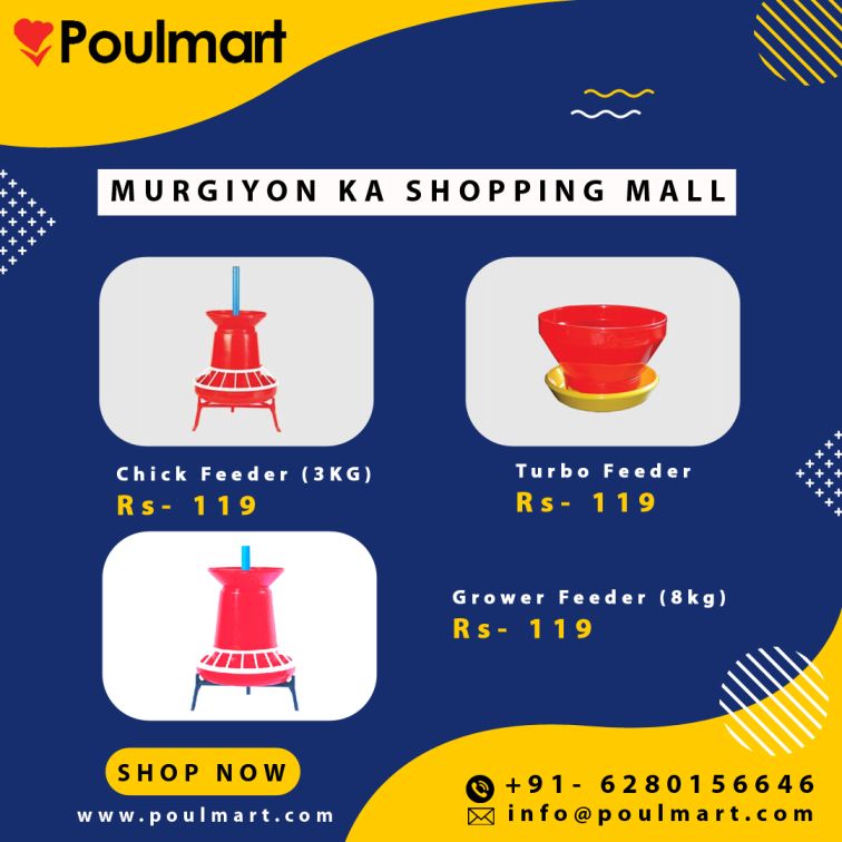 https://www.bigindia.com/storage//uploads/products/1722665640.jpg