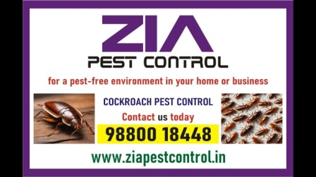 https://www.bigindia.com/storage//uploads/products/1727692427.jpg