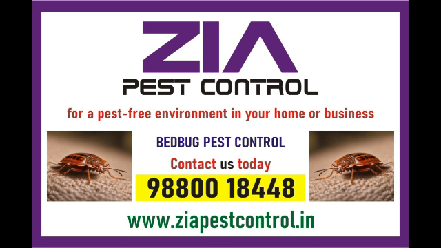 https://www.bigindia.com/storage//uploads/products/1729317473.png