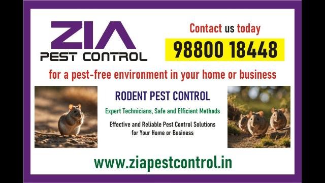 https://www.bigindia.com/storage//uploads/products/1730369964.png