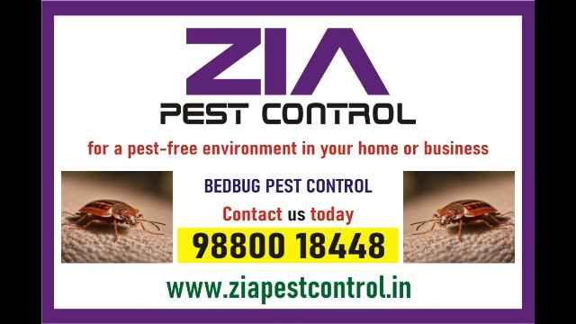 https://www.bigindia.com/storage//uploads/products/1730861647.jpg