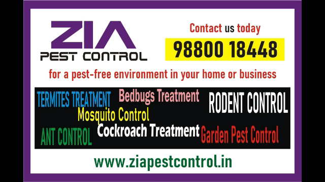 https://www.bigindia.com/storage//uploads/products/1732797818.png