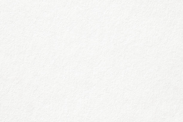 https://www.bigindia.com/storage//uploads/products/1737144348.jpg