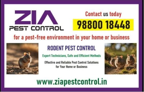 https://www.bigindia.com/storage//uploads/products/1739457447.jpg