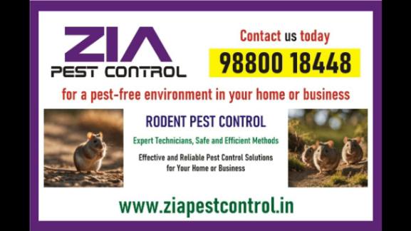 https://www.bigindia.com/storage//uploads/products/1740394586.jpeg