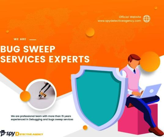 bug-sweeping-services-in-delhi