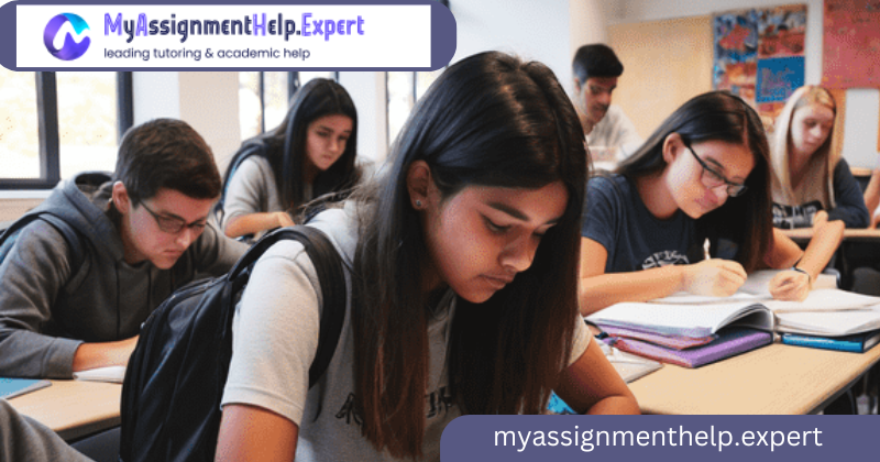 achieve-success-with-online-programming-assignment-help