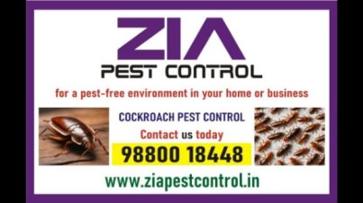cockroach-pest-cleaning-service-amc-is-also-available-price-list-1981-1